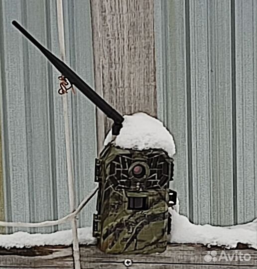 Фотоловушка с sim