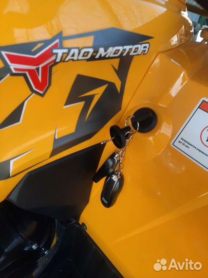 Wild 200 X PRO, новый