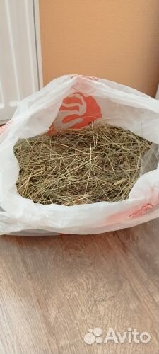 Корм, сено, ножницы, наполнитель для морский свинк