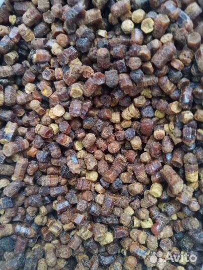 Перга, пыльца, мед, прополис, пжвм, восковая моль