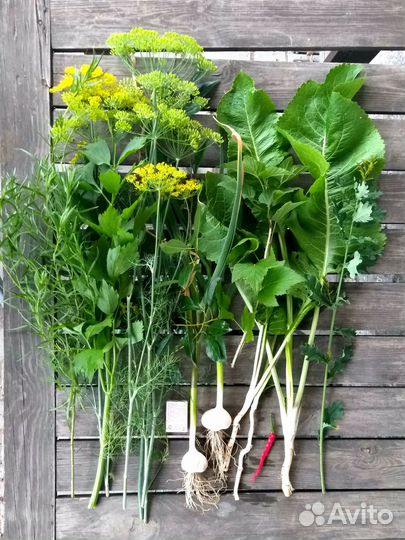 Набор зелени