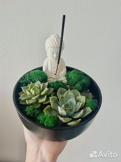 Флорариум в подарок с буддой