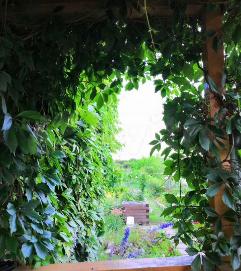 Дача 48,3 м² на участке 12,2 сот.