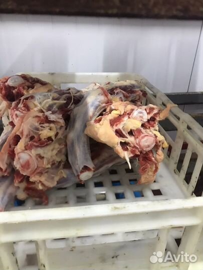 Мясо, субпродукты для собак и кошек