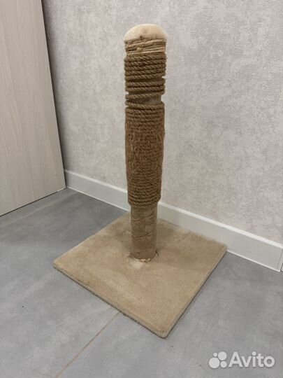 Когтеточка