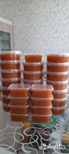 Икра щуки вылов май 2024г