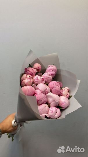 101 Роза букеты Цветы 51 доставка 24/7