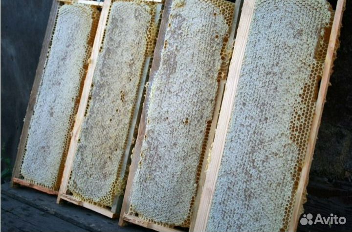 Мед сотовый Свежий урожай