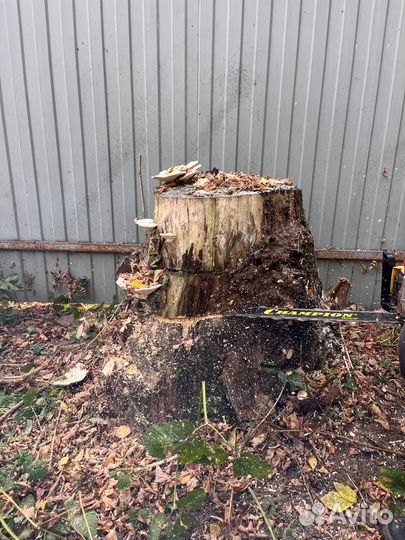 Дробление пней в щепу