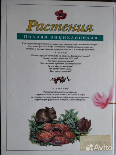 Энциклопедия 