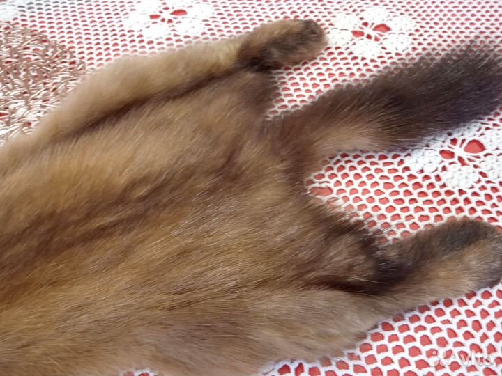 Шкурки куницы