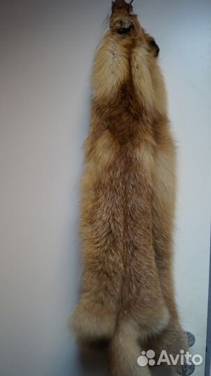 Шкуры лис