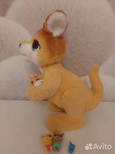 Кенгуру джози