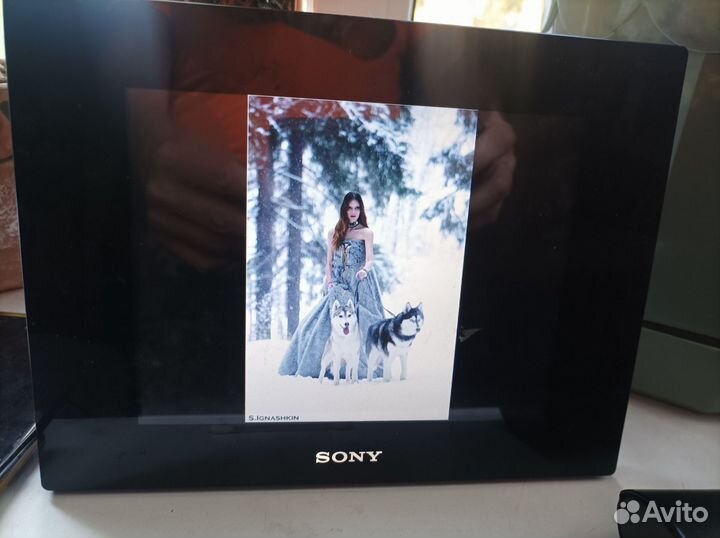 Цифровая фоторамка sony