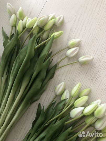 Тюльпаны Kuchenland 21 шт