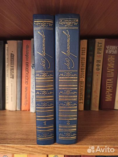 Шолохов, Пушкин, Лермонтов и другие