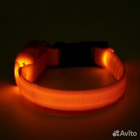 Аксессуары для животных