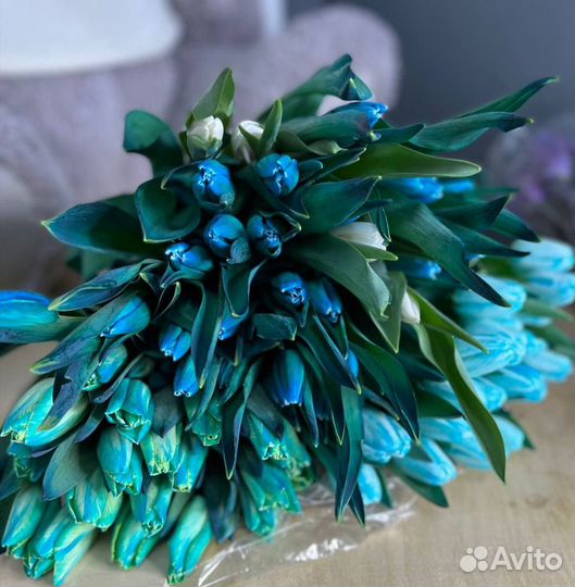 Тюльпаны букет