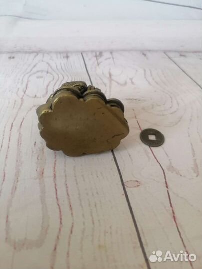 Денежное дерево, денежная жаба