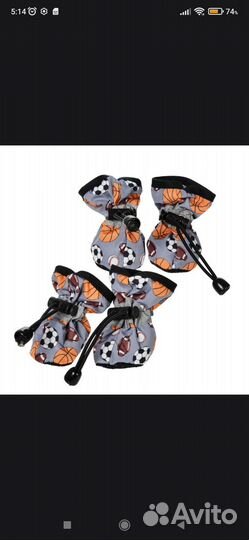 Обувь для маленьких собак s