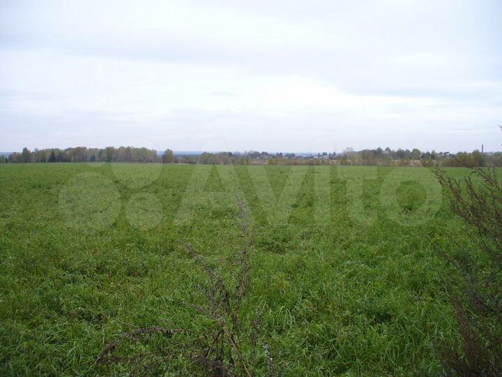 Участок 20 га (СНТ, ДНП)