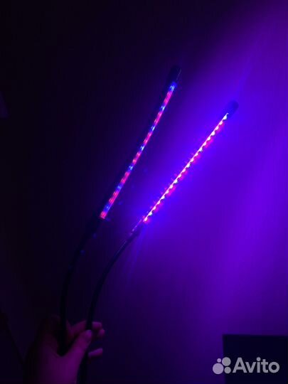 Фито лампа для растений