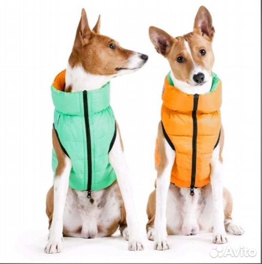 Куртка для собак