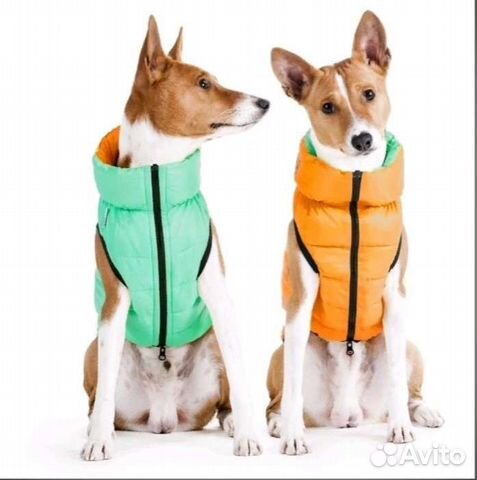 Куртка для собак