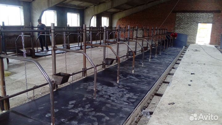 Стойла, беспривязь, привязь