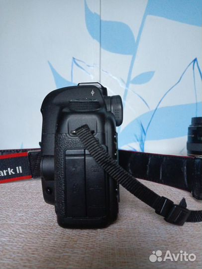 Canon eos 5D mark ii (30832 кадров)