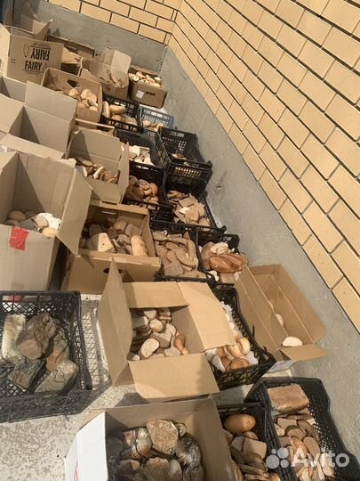 Хлеб на корм