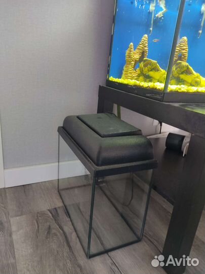 Аквариум с рыбками