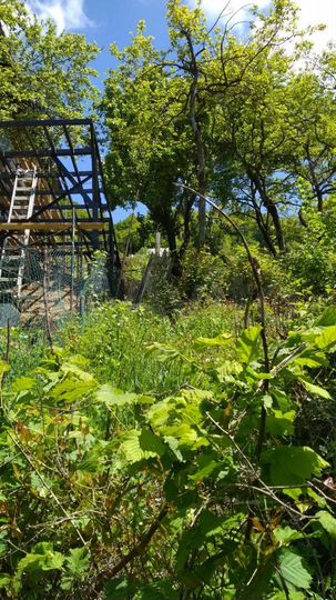 Участок 5 сот. (СНТ, ДНП)