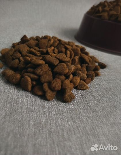 Сухой корм purina для собак и кошек