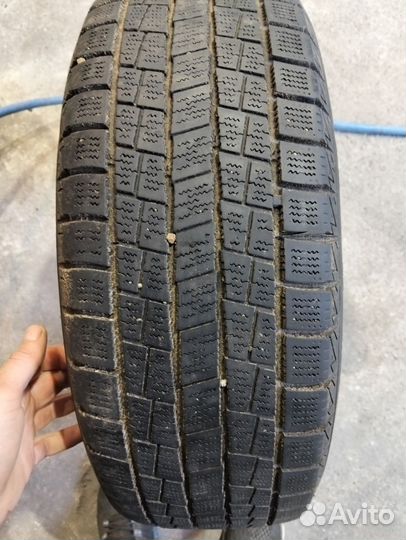 Foman Polar Bear 195/65 R15 91T