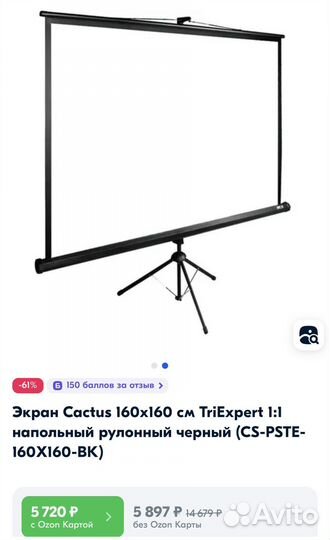 Экран для проектора напольный