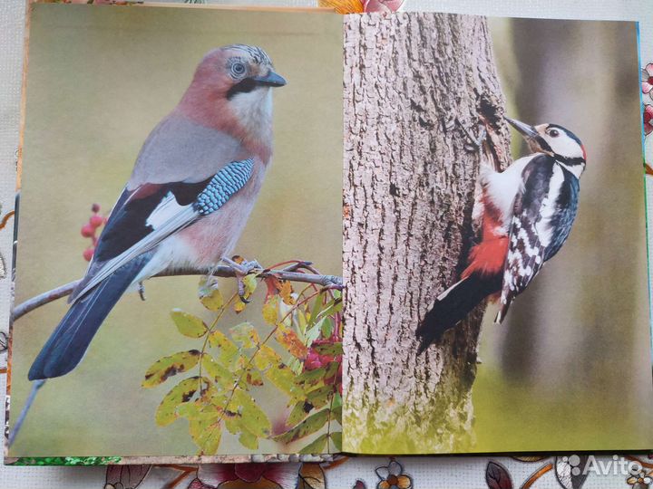 Детская энциклопедия