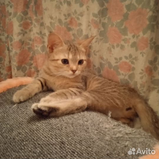 Особенная девочка