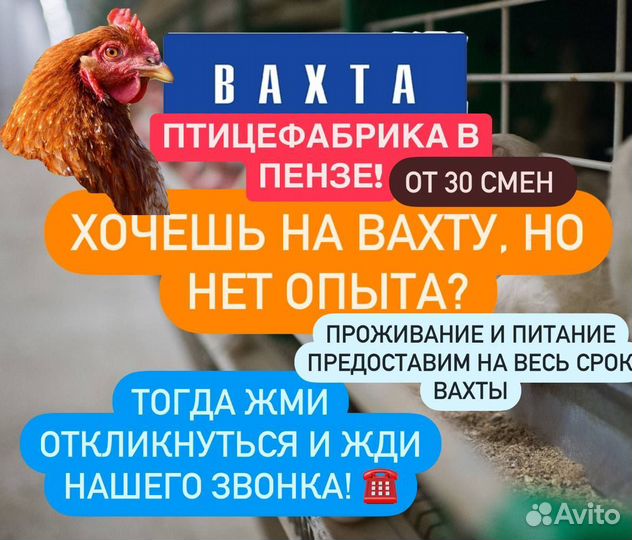 Упаковщик на мясное производство в Пензе