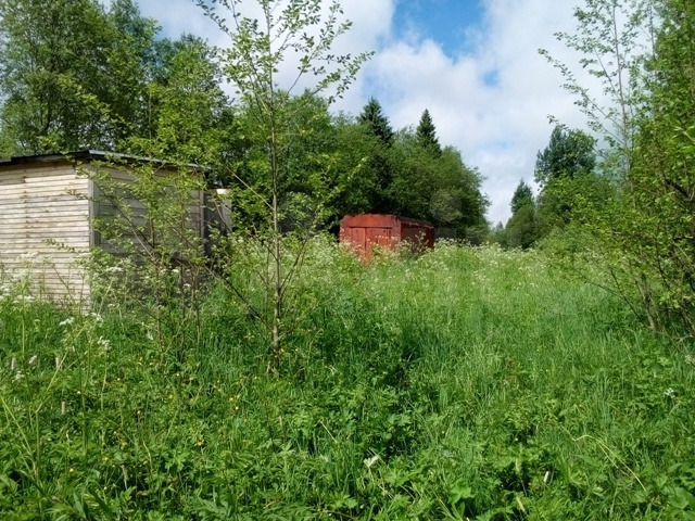 Участок 43 сот. (ИЖС)