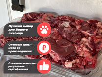 Мясо для собак, говядина, субпродукты