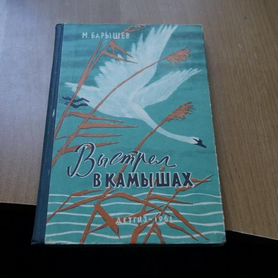 7212 Барышев М. Выстрел в камышах. Художник П. Кир