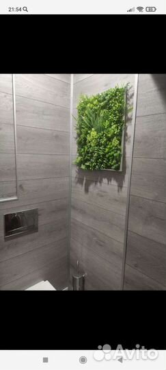 Фитокартина