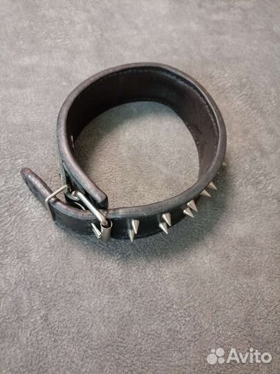 Ошейник для собак