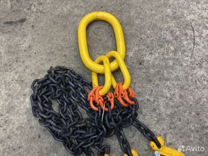 Цепные пауки чалки