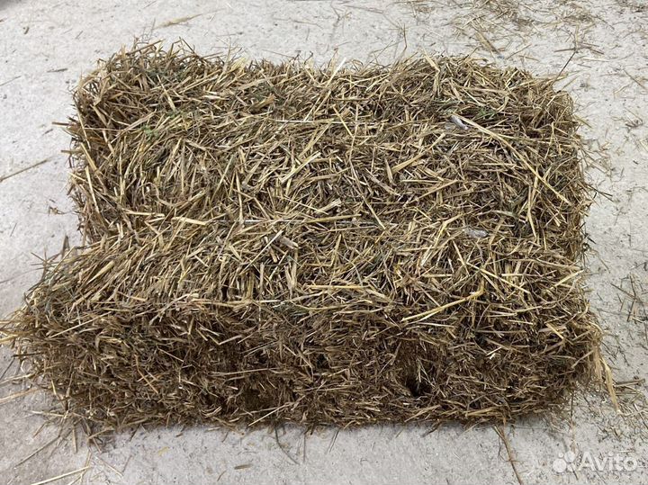 Солома овсяная опт и розница