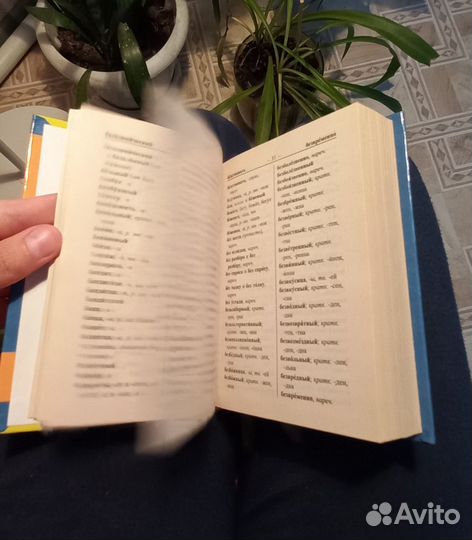 Орфографический словарь