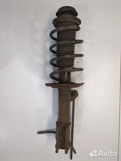 Амортизатор подвески Toyota Yaris, 2008