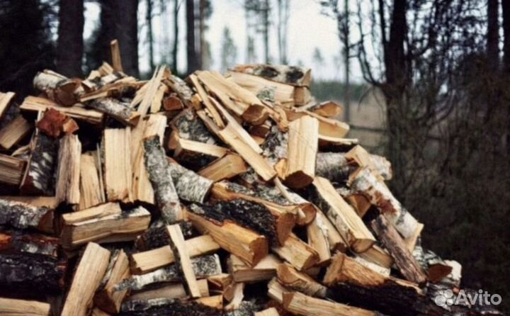 Дрова березовые