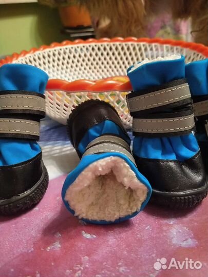 Ботинки для собак